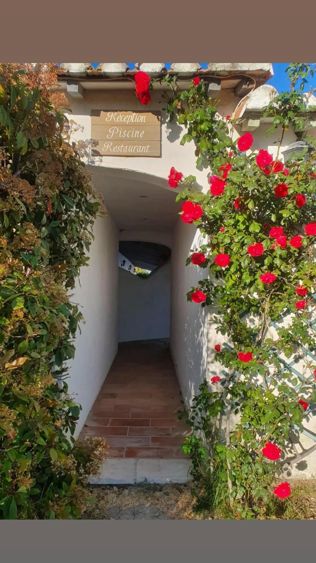 Mas De Calabrun Hotel Saintes-Maries-de-la-Mer Bagian luar foto
